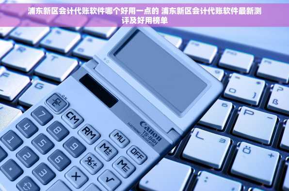 浦东新区会计代账软件哪个好用一点的 浦东新区会计代账软件最新测评及好用榜单