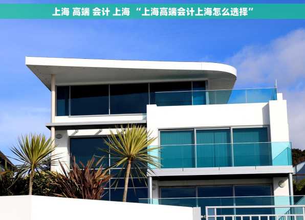 上海 高端 会计 上海 “上海高端会计上海怎么选择”