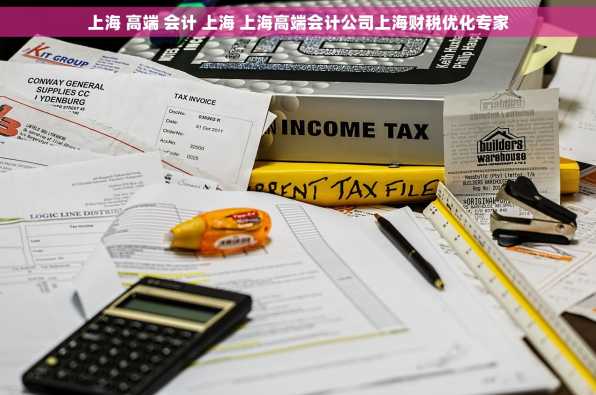 上海 高端 会计 上海 上海高端会计公司上海财税优化专家