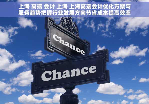 上海 高端 会计 上海 上海高端会计优化方案与服务趋势把握行业发展方向节省成本提高效率