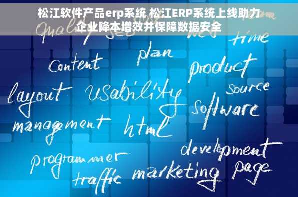 松江软件产品erp系统 松江ERP系统上线助力企业降本增效并保障数据安全