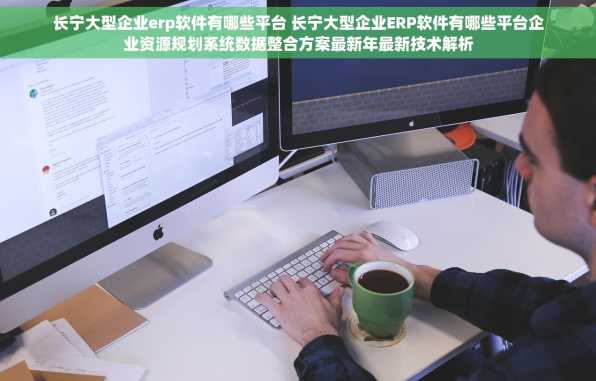 长宁大型企业erp软件有哪些平台 长宁大型企业ERP软件有哪些平台企业资源规划系统数据整合方案最新年最新技术解析