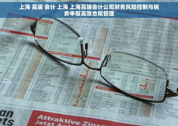 上海 高端 会计 上海 上海高端会计公司财务风险控制与税务申报高效合规管理