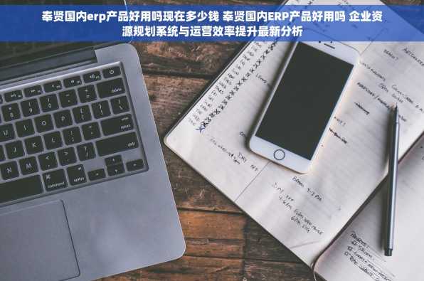 奉贤国内erp产品好用吗现在多少钱 奉贤国内ERP产品好用吗 企业资源规划系统与运营效率提升最新分析
