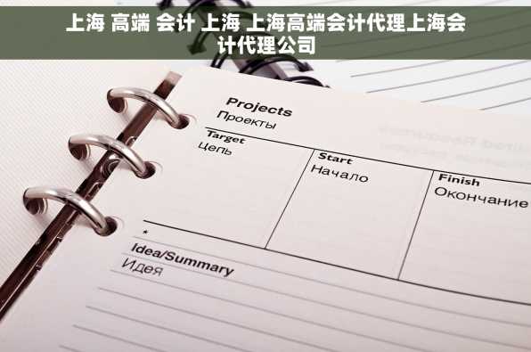 上海 高端 会计 上海 上海高端会计代理上海会计代理公司