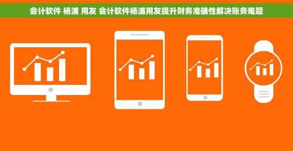 会计软件 杨浦 用友 会计软件杨浦用友提升财务准确性解决账务难题