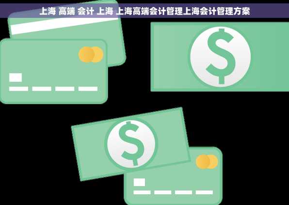 上海 高端 会计 上海 上海高端会计管理上海会计管理方案