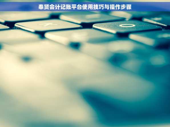 奉贤会计记账平台使用技巧与操作步骤