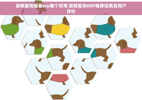 崇明服饰服装erp哪个好用 崇明服饰ERP推荐指南及用户评价