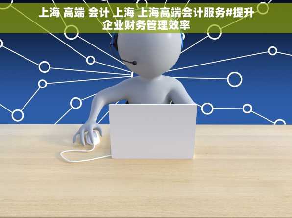 上海 高端 会计 上海 上海高端会计服务#提升企业财务管理效率