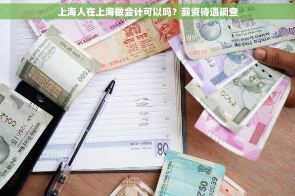 上海人在上海做会计可以吗？薪资待遇调查