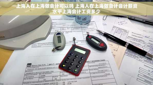 上海人在上海做会计可以吗 上海人在上海做会计会计薪资水平上海会计工资多少