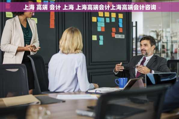上海 高端 会计 上海 上海高端会计上海高端会计咨询