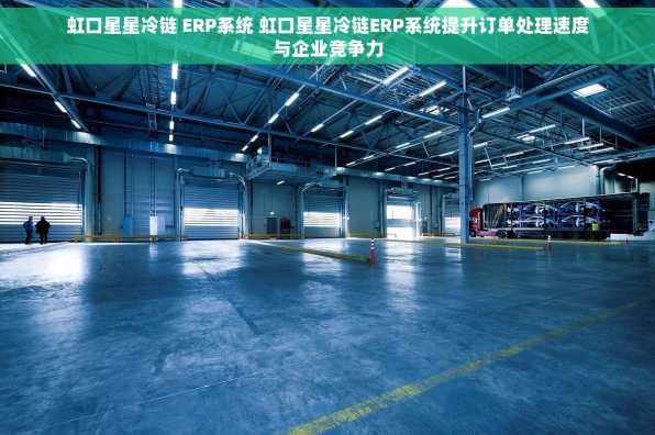 虹口星星冷链 ERP系统 虹口星星冷链ERP系统提升订单处理速度与企业竞争力
