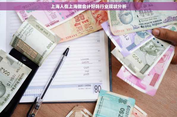 上海人在上海做会计好吗行业现状分析