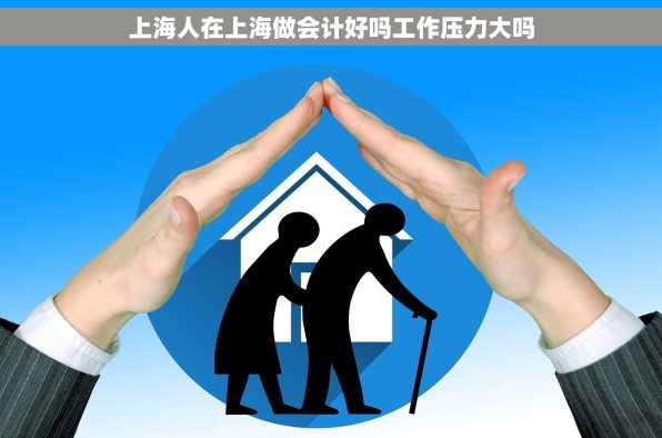 上海人在上海做会计好吗工作压力大吗