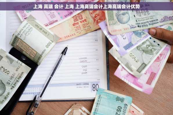 上海 高端 会计 上海 上海高端会计上海高端会计优势