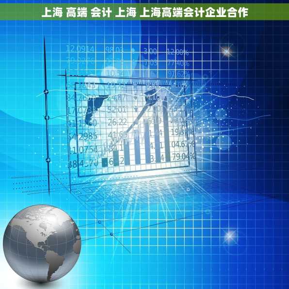 上海 高端 会计 上海 上海高端会计企业合作