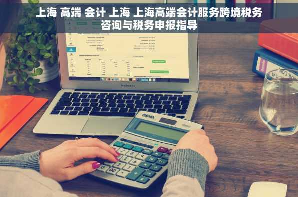 上海 高端 会计 上海 上海高端会计服务跨境税务咨询与税务申报指导