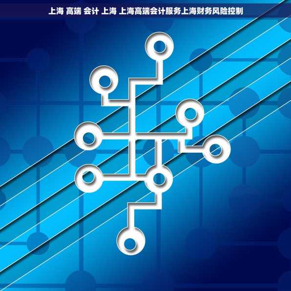 上海 高端 会计 上海 上海高端会计服务上海财务风险控制