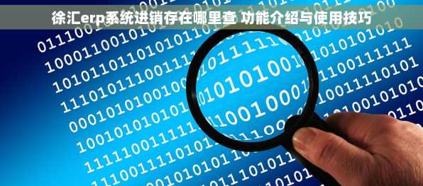徐汇erp系统进销存在哪里查 功能介绍与使用技巧