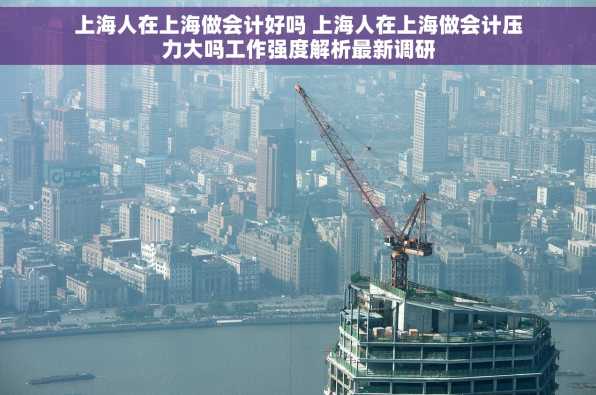 上海人在上海做会计好吗 上海人在上海做会计压力大吗工作强度解析最新调研
