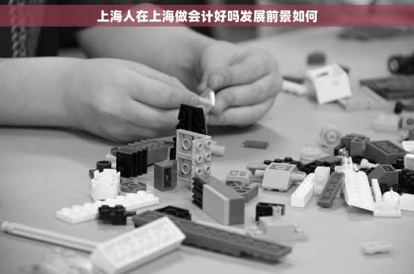 上海人在上海做会计好吗发展前景如何