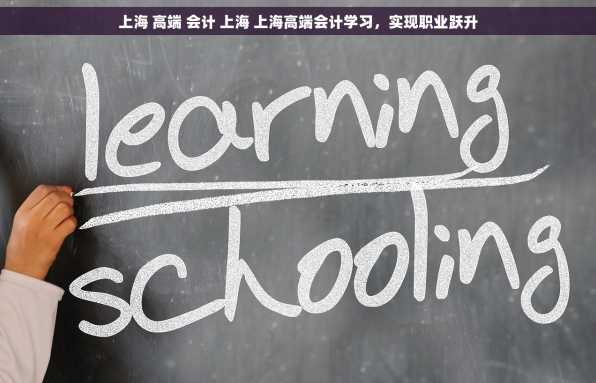 上海 高端 会计 上海 上海高端会计学习，实现职业跃升