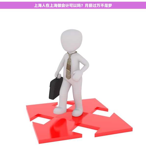 上海人在上海做会计可以吗？月薪过万不是梦