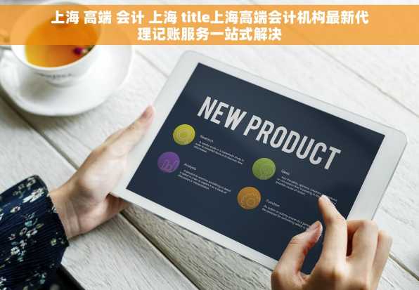 上海 高端 会计 上海 title上海高端会计机构最新代理记账服务一站式解决