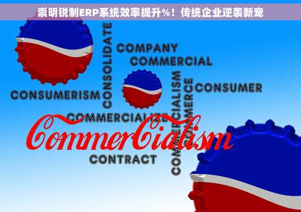 崇明锐制ERP系统效率提升%！传统企业逆袭新宠