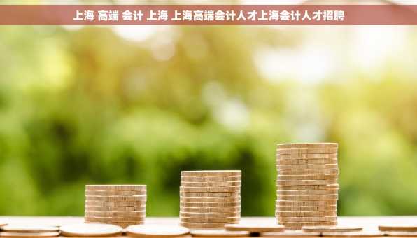 上海 高端 会计 上海 上海高端会计人才上海会计人才招聘