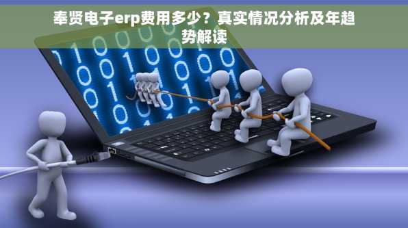 奉贤电子erp费用多少？真实情况分析及年趋势解读