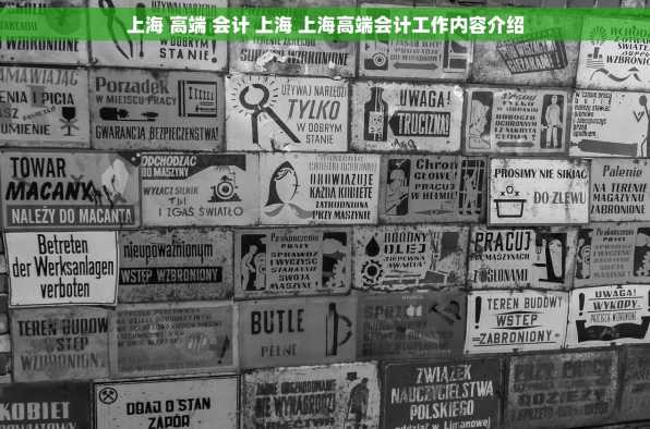 上海 高端 会计 上海 上海高端会计工作内容介绍