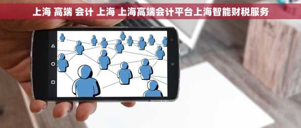 上海 高端 会计 上海 上海高端会计平台上海智能财税服务