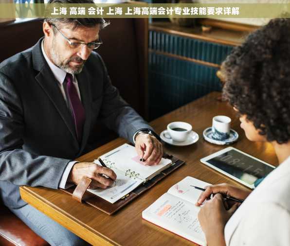 上海 高端 会计 上海 上海高端会计专业技能要求详解