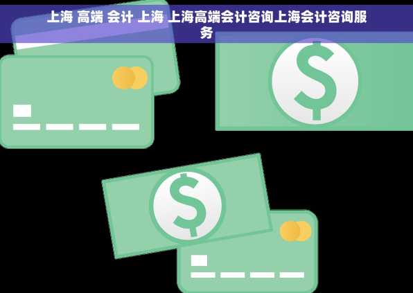 上海 高端 会计 上海 上海高端会计咨询上海会计咨询服务