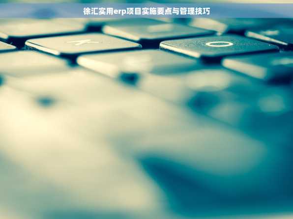 徐汇实用erp项目实施要点与管理技巧