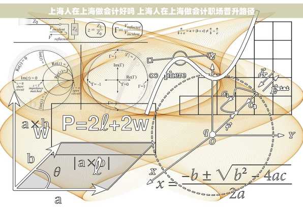 上海人在上海做会计好吗 上海人在上海做会计职场晋升路径