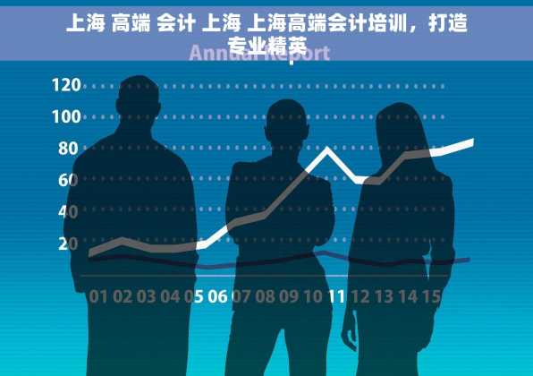 上海 高端 会计 上海 上海高端会计培训，打造专业精英