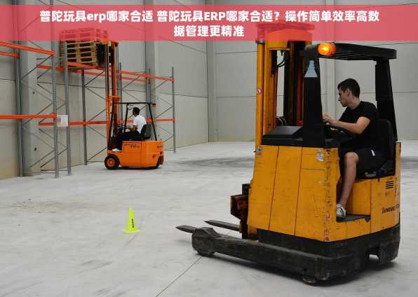 普陀玩具erp哪家合适 普陀玩具ERP哪家合适？操作简单效率高数据管理更精准