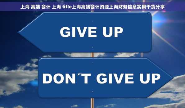 上海 高端 会计 上海 title上海高端会计资源上海财务信息实用干货分享