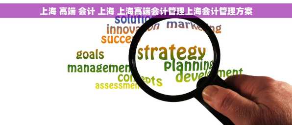 上海 高端 会计 上海 上海高端会计管理上海会计管理方案