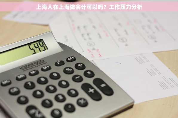 上海人在上海做会计可以吗？工作压力分析
