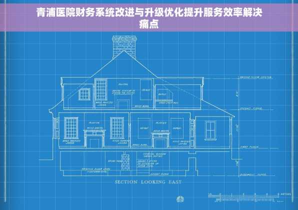 青浦医院财务系统改进与升级优化提升服务效率解决痛点