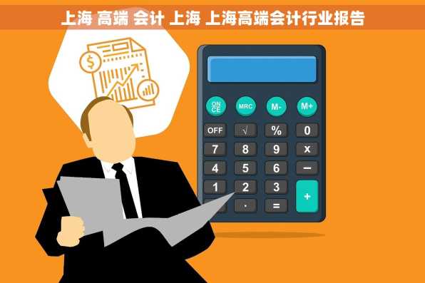 上海 高端 会计 上海 上海高端会计行业报告