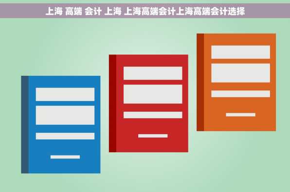 上海 高端 会计 上海 上海高端会计上海高端会计选择