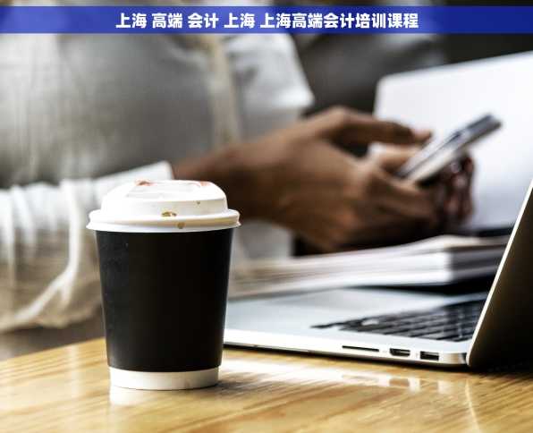 上海 高端 会计 上海 上海高端会计培训课程
