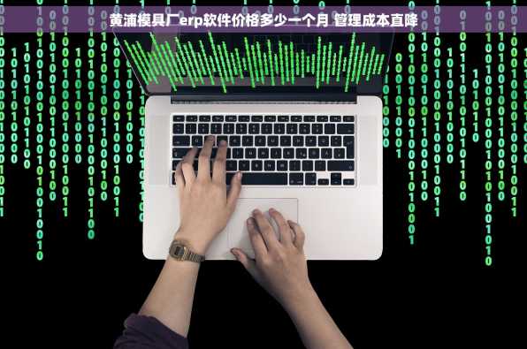 黄浦模具厂erp软件价格多少一个月 管理成本直降