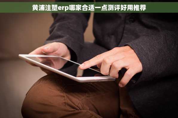 黄浦注塑erp哪家合适一点测评好用推荐